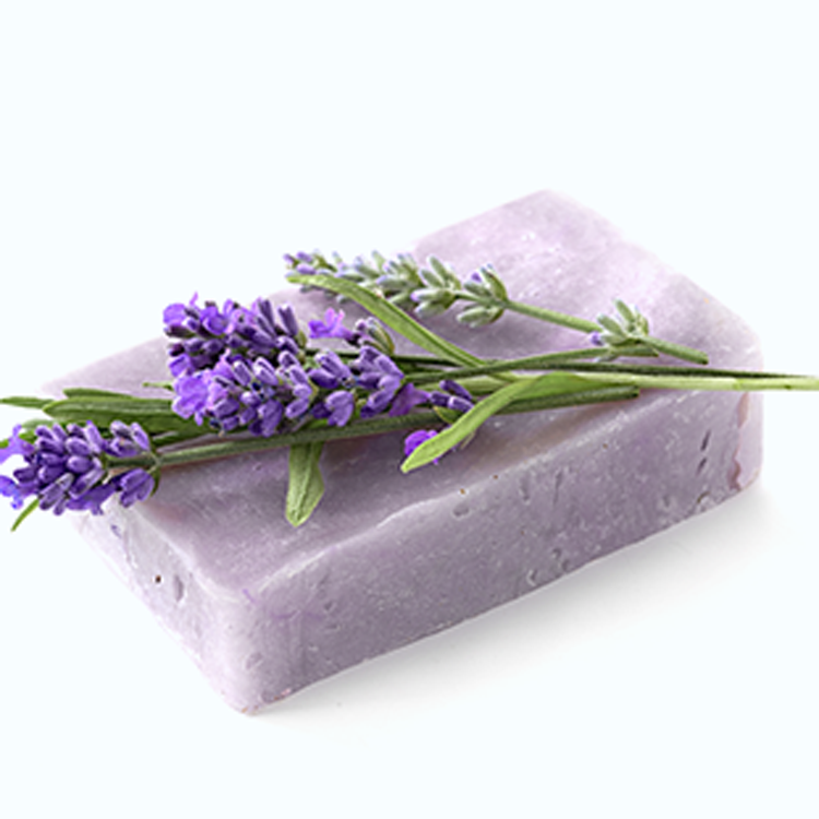 Aloe Vera Soap